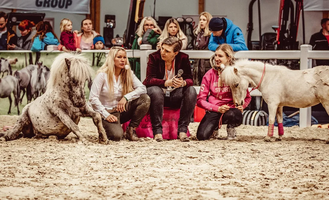 Anne Röder bei einer Vorführung mit Ponys vor Publikum