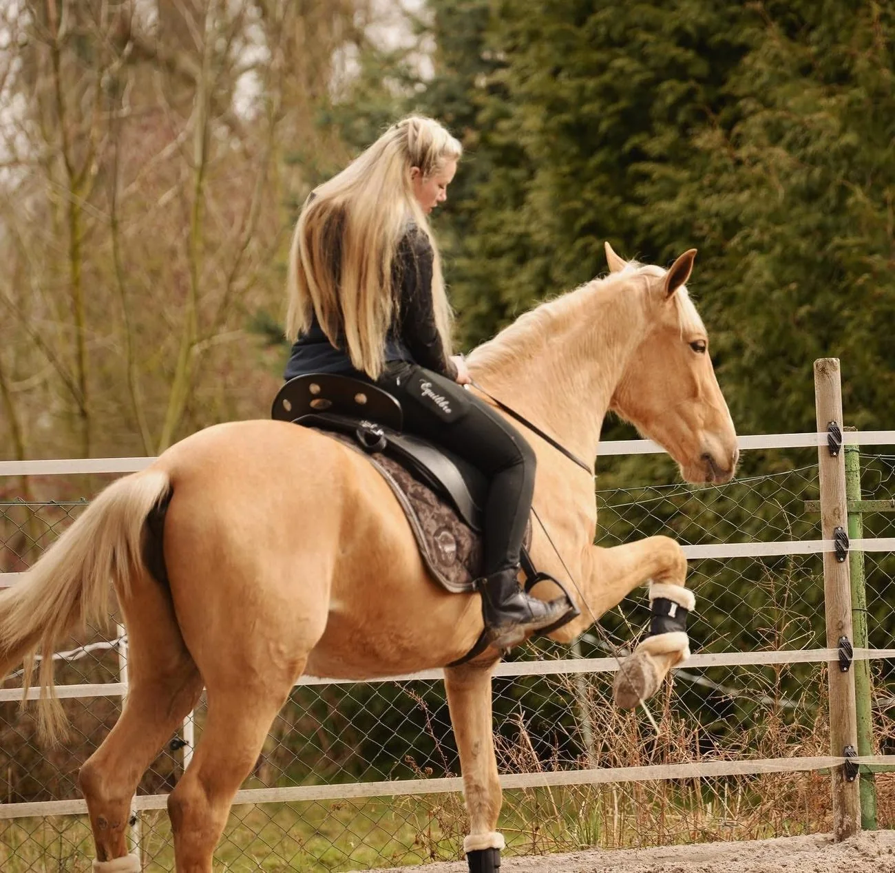 Anne Röder reitet ein Palomino-Pferd auf dem eingezäunten Trainingsplatz