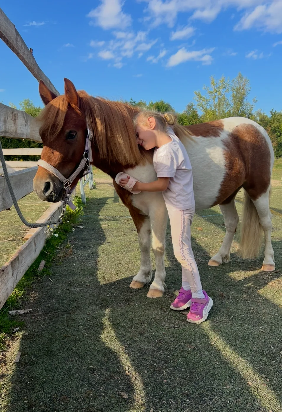 Kind umarmt innig ein Pony im warmen Abendlicht
