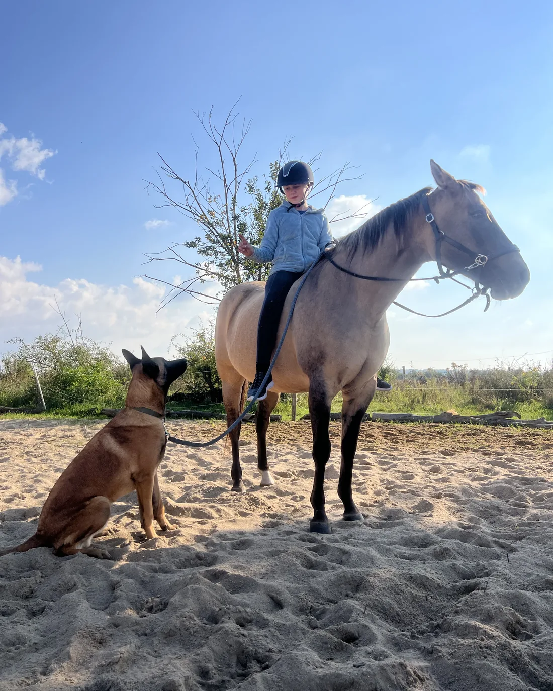 Kind auf einem Pferd, daneben sitzt aufmerksam ein Malinois-Hund – pädagogische Förderung mit Pferd und Hund