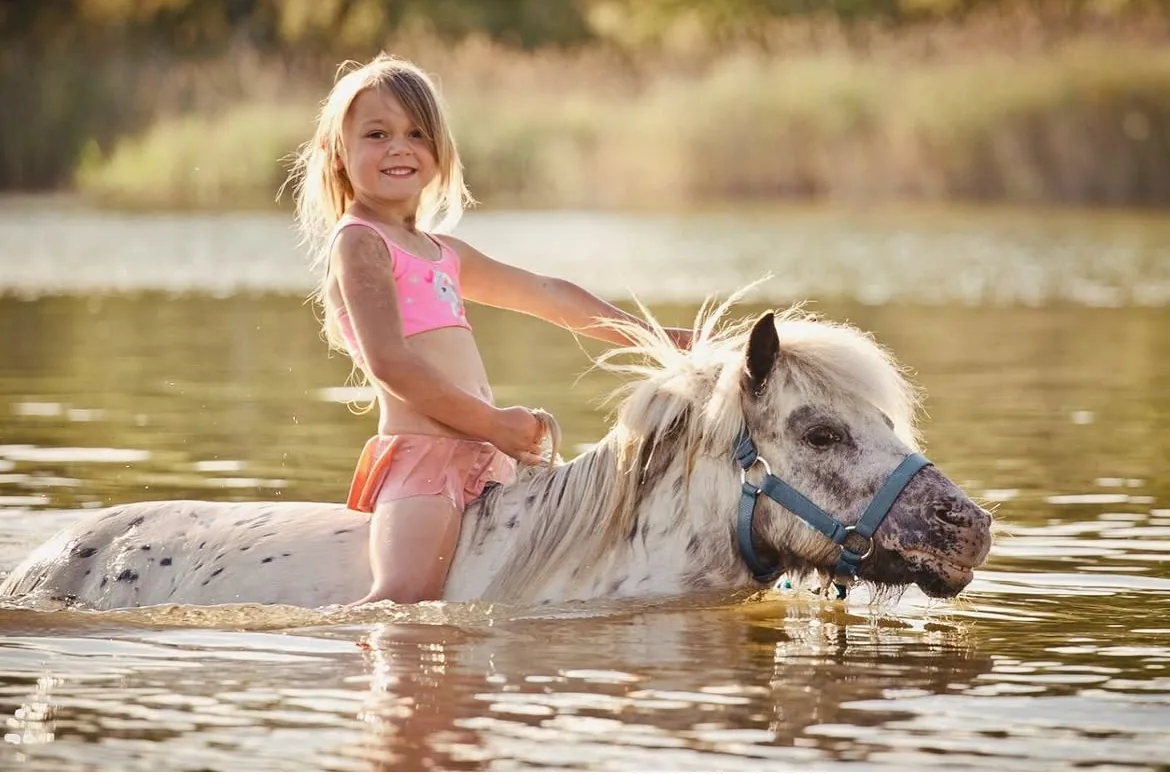Mädchen reitet ein geschecktes Pony im flachen Wasser des Schladitzer Sees in der Abendsonne